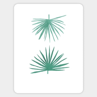 Petticoat Palms Sticker